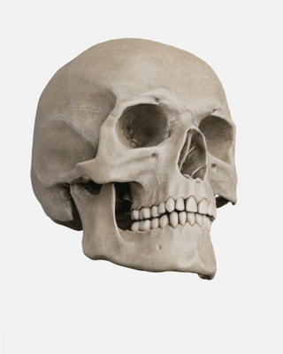 OP-3D-LX-FOV_320x400.gif